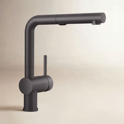 Linus Low Arc Pull-Out Kitchen Faucet