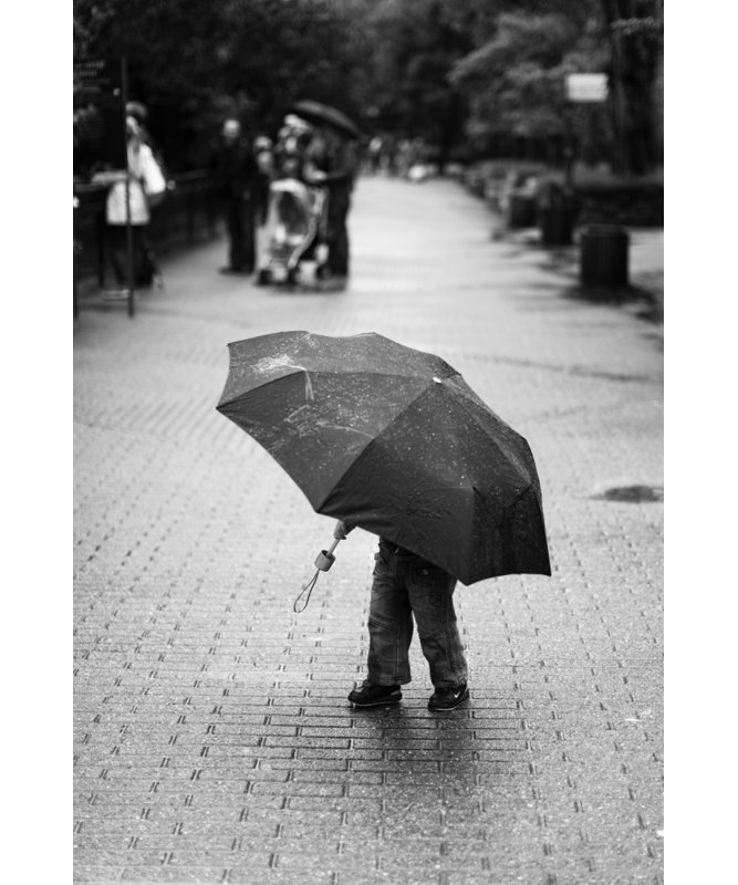 Wrapped Canvas Print, 76.2 cm H x 50.8 cm W