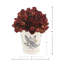 Dried Rose Bundle in Ceramic Pot-603323830