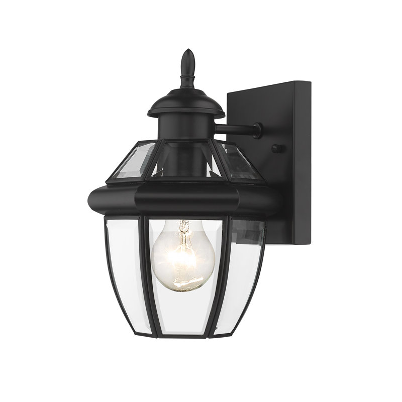 Allianora Wall Light