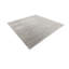 Tapis uni / rayé gris-ivoire Aimeeleigh-2128392571