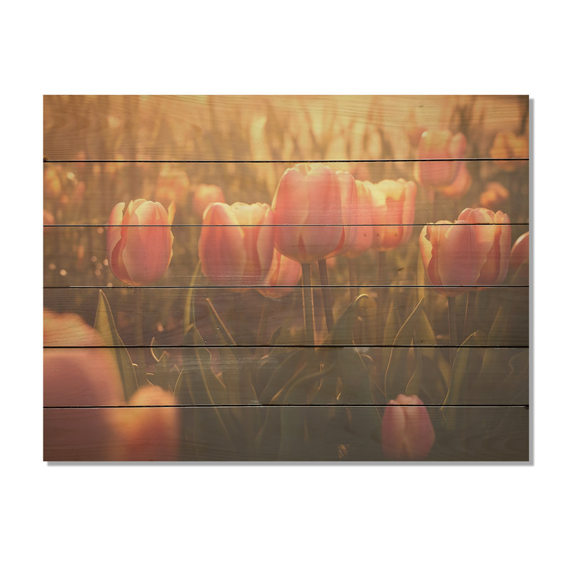 A A Lush Field - Tulipes, art mural sur bois de pin naturel, H 10 po x l 20 po