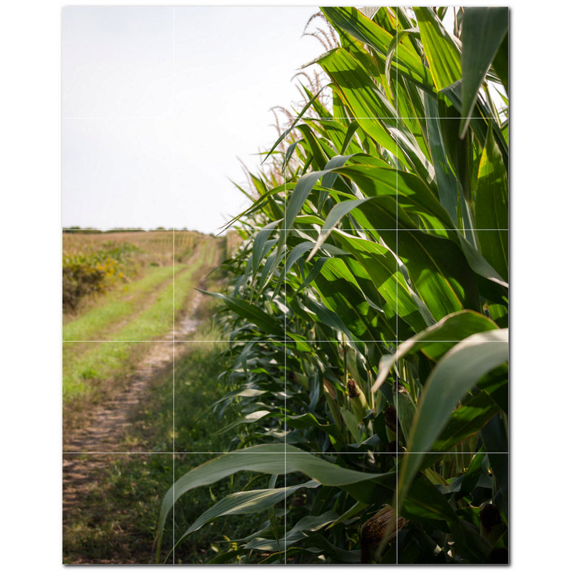 Photo de ferme 8 x 8