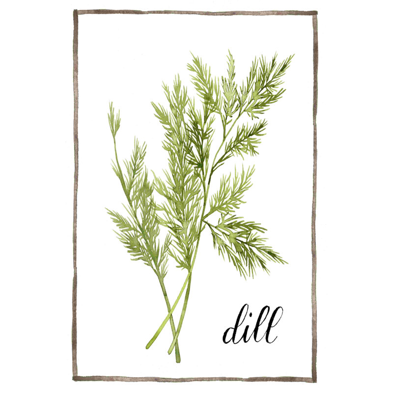 Aquarelle herbes III, H 12 po x l 8 po