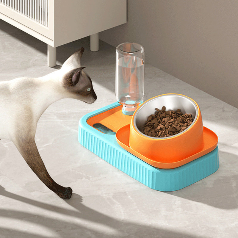 Cats Bowl, Orange