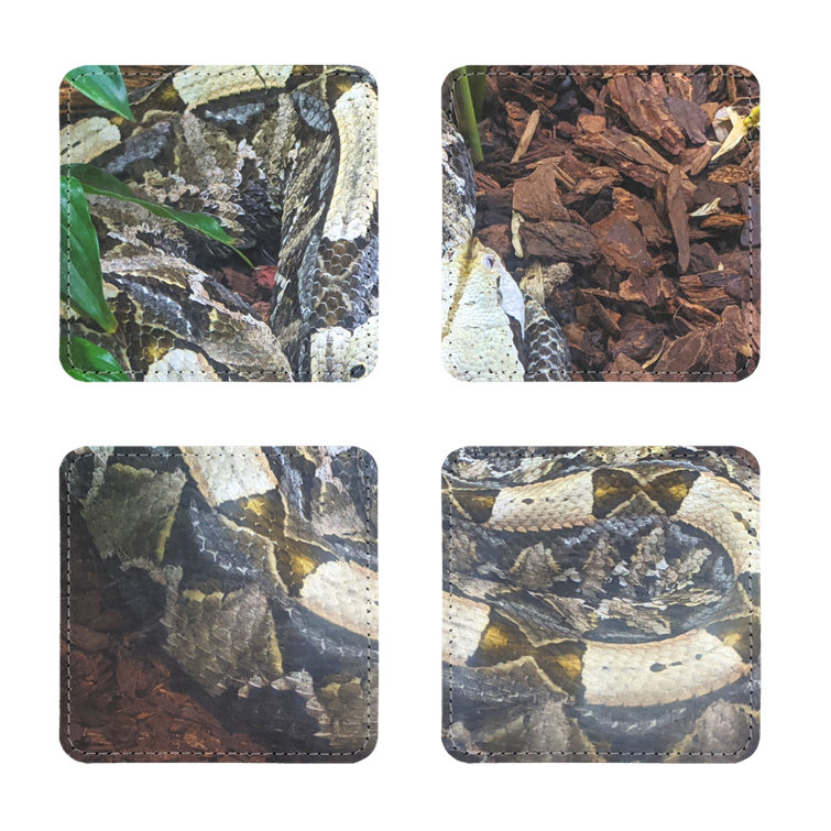 Marick Booster White Snake Sublimation Coasters Pack Of Four