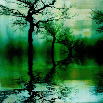 Parvez Taj - Wrapped Canvas Print