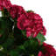 Faux Plant in Pot Liner-93266718-93266719