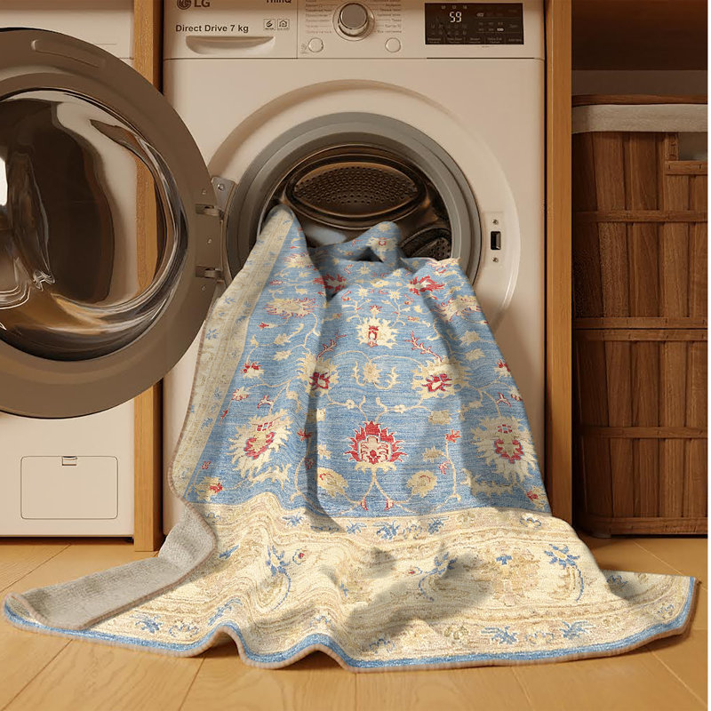 Tapis traditionnel lavable à la machine 100% - tapis, Rectangle 5 pi x 7 pi