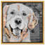 « love golden retriever », impression sur toile tendue-66813069-66813072
