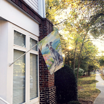 Vita Double Sided 40'' H x 28'' W Polyester House Flag