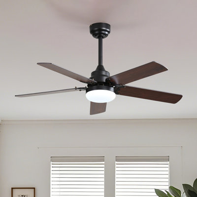 Felicitas 42'' Ceiling Fan with LED Lights