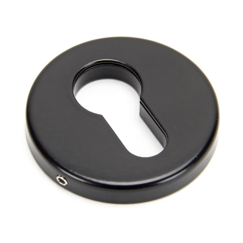 Regency Concealed Escutcheon Rosette, Black