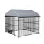 Grand chenil pour chien