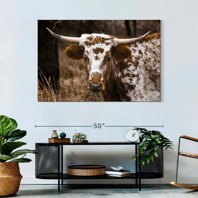 Brampt Longhorn Bull, 32" H x 48" W