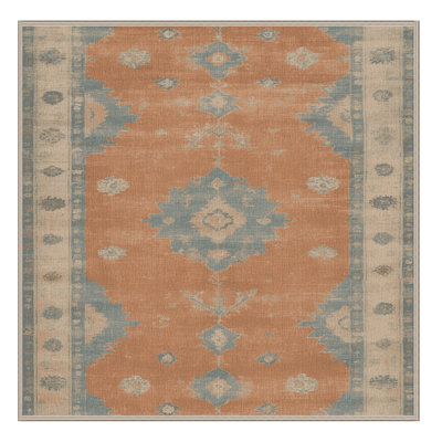 Machine Washable Overdyed Brown Area Rug