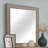 Cane Mirror