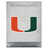 Hurricanes de Miami (FL)