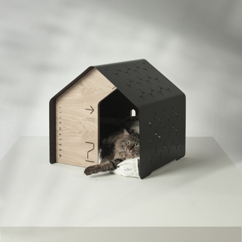 Dog House