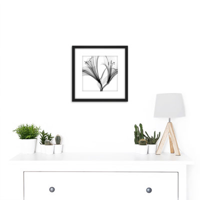 Schwartz NJIT Greyscale Flowers X-Ray Transparent - Single Picture Frame Print
