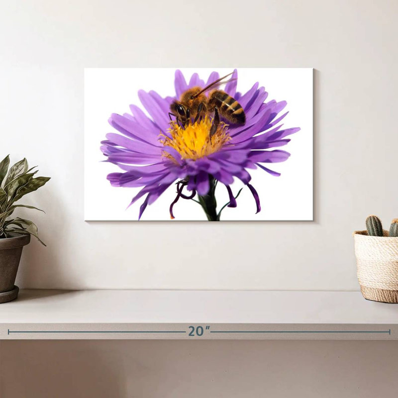 Abeille à miel qui suce le nectar, H 8 po x l 12 po