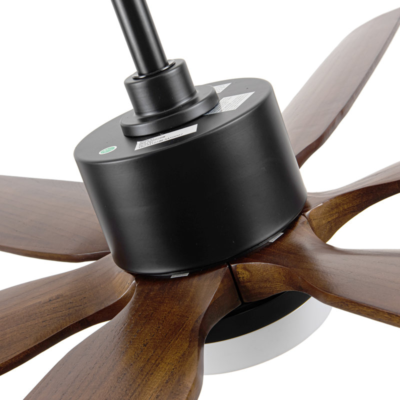 Lenecka Ceiling Fan with LED Lights, 60"