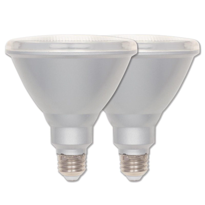 Clear Dimmable Energy Star PAR38 LED Flood Light Bulbs