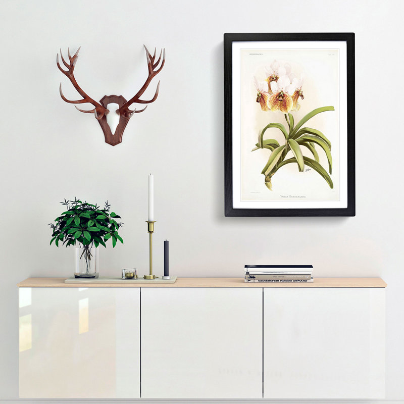 Magnolia Flowers Illustration Tab.62 by Frederick Sander - Picture Frame Art Print, Black, 50cm H x 35cm W x 2cm D