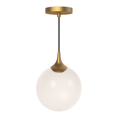 Nedra Single Light Glass Steel Pendant