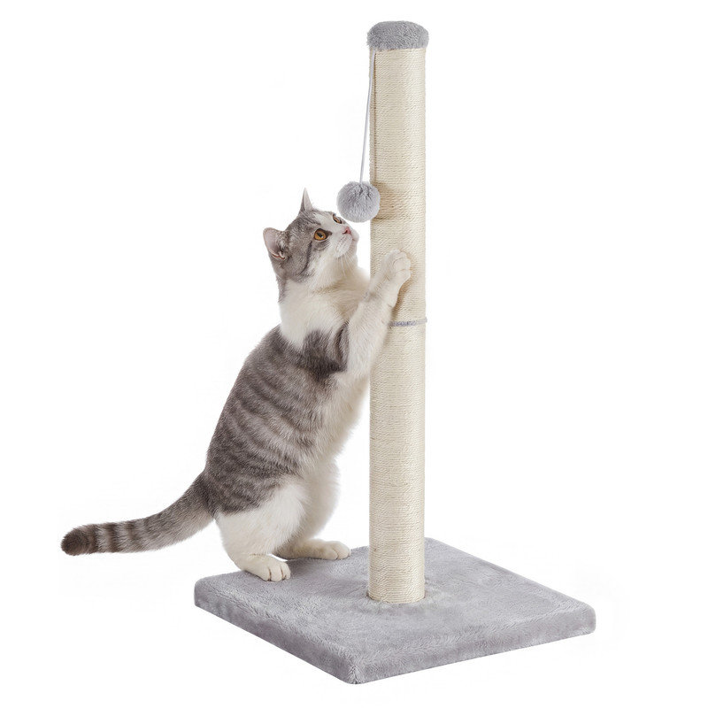 84 cm H Cat Accessories