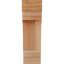 Corbeau Pescadero-1571285310-1571285246-1571285244