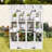 78-inch Walk-in Wood Greenhouse with 4 Skylights, 2 Folding Shelves, Anti-Fall Protection-114011589