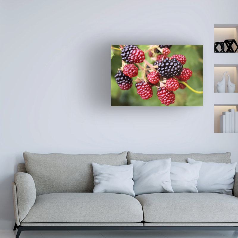 Cuisine sur toile, Cuisine 92, H 12 po x l 19 po x P 2 po