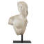 Composite Bust
