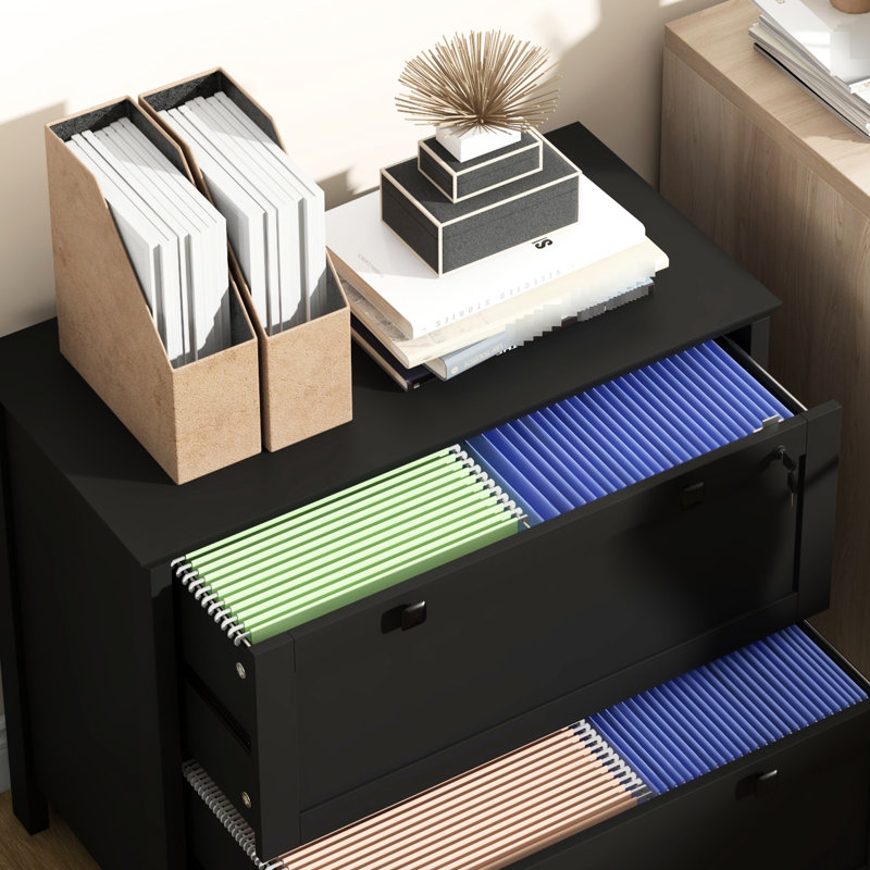 Classeur noir avec 2 tiroirs et serrure. Organisez efficacement votre bureau personnel. Convient aux formats lettre, A4 et légal. Élégant et pratique. - Panneau de particules revêtu. Capacité de l 31,1 po x l 15,7 po x H 28,3 po. Capacité de 132 lb.