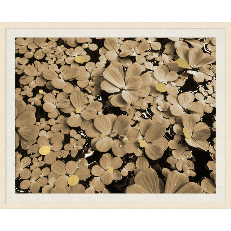 Floating Petals' Framed Photographic Print on Glass