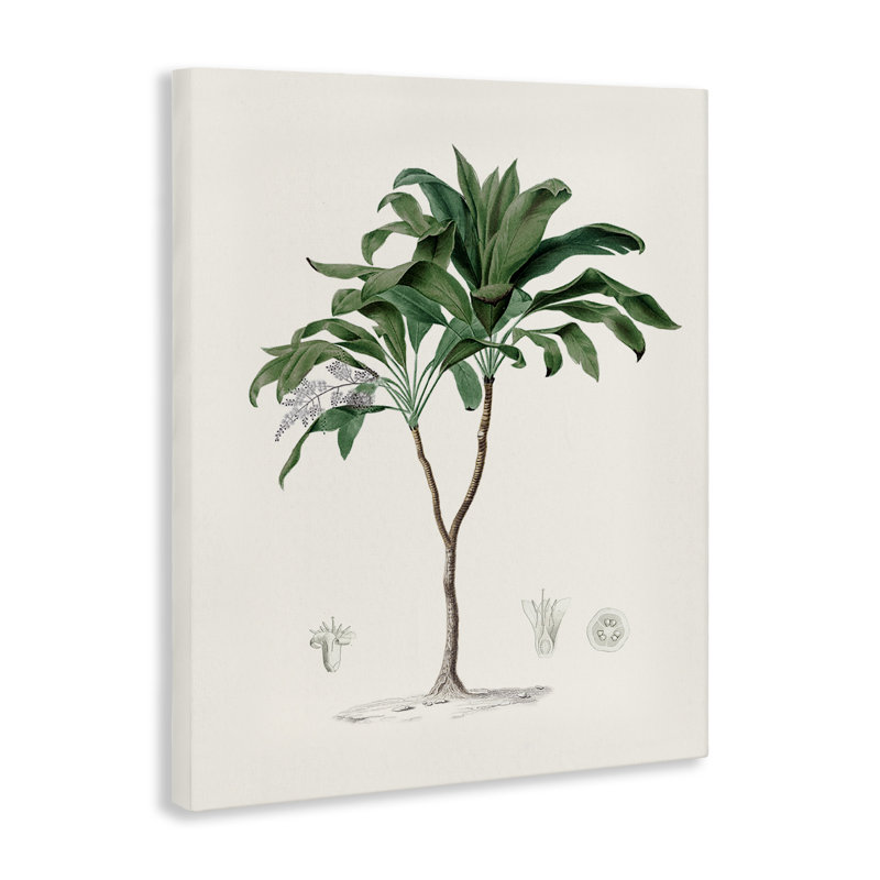 «Coastal Palms», toile par Val Rhodes, H 30 po x l 24 po