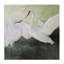 Toile grue blanche, conception par Robin Maria-177145771