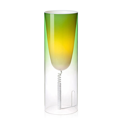 Novelty Lamp