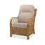 Julianna Wicker Armchair