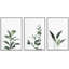 Ensemble de 3 plantes vertes et florales vertes-91874901-91874900