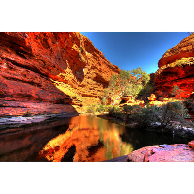 Loula " Kings Canyon, Australia "