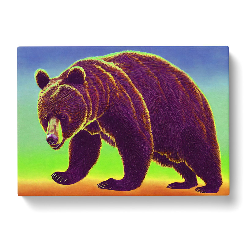 Favourable Bear - Wrapped Canvas, 40cm H x 60cm W x 3cm D