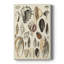 «Seashell», impression sur toile tendue-1519348042