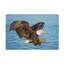 Art sur toile, alezan, pêche-109344820