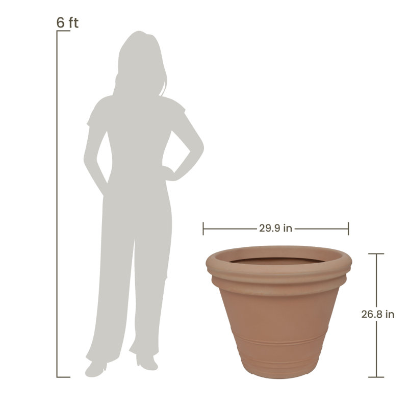 Licinia Wall Planter, 26.8" H x 29.9" W x 29.92" D