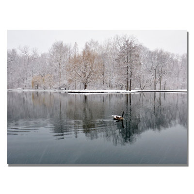 " Winter Goose " by Kurt Shaffer
