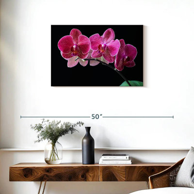 Orchidée mauve
