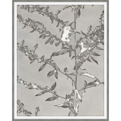 After All This Time 7 Print by Darrell Kincer