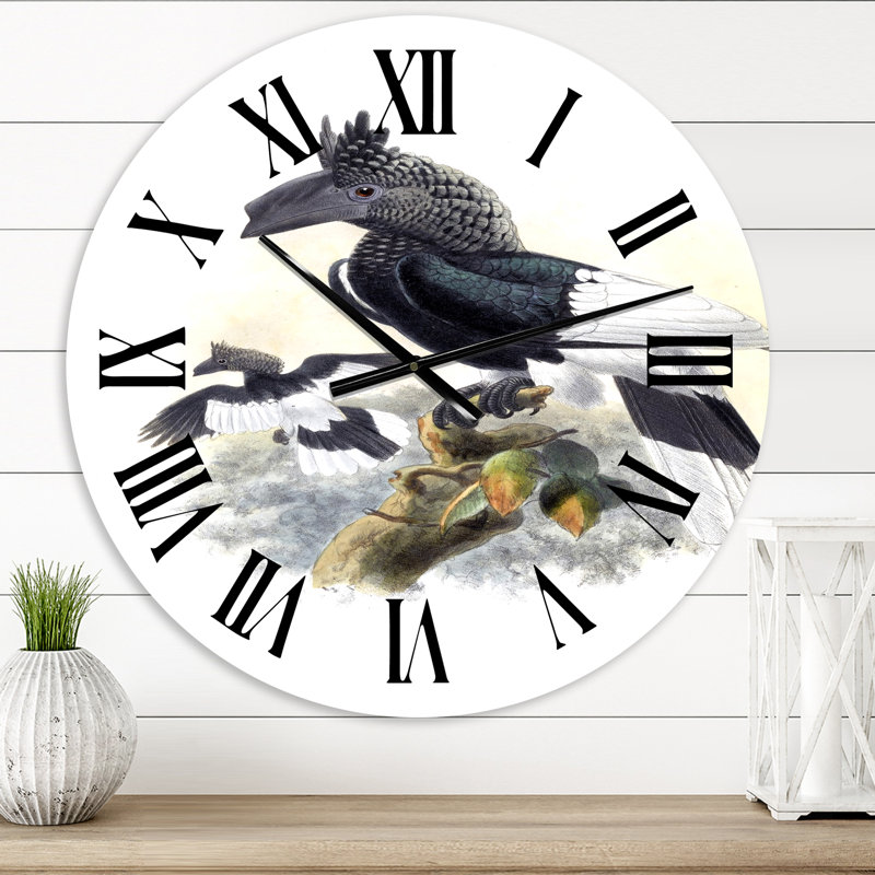 Oiseaux australiens d'époque rétro - horloge murale traditionnelle, Surdimensionné